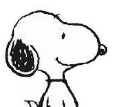 LVRobÕ_uousnoopy breast